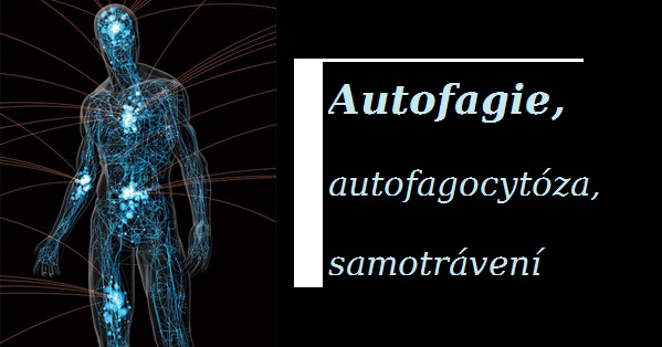 autofagie-priznaky-projevy-symptomy