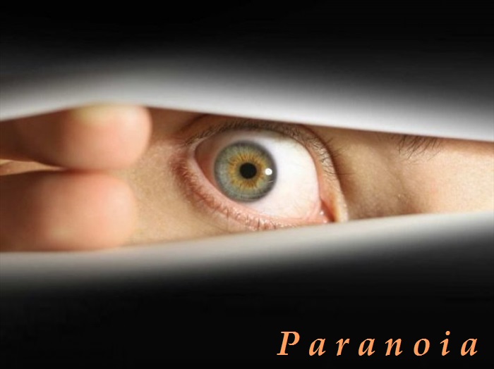 paranoia paranoidni porucha osobnosti priznaky projevy symptomy