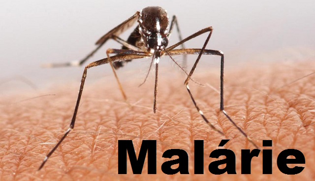 malarie-priznaky-projevy-symptomy-15