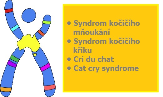 syndrom-kociciho-kriku-mnoukani-priznaky-projevy-symptomy-101