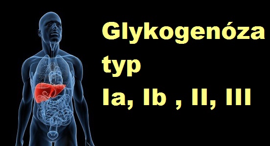 glykogenoza-typ-Ia-1a-ib-1b-II-2-III-3-priznaky-projevy-symptomy